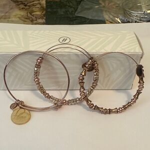 Alex and Ani Elegant Rose Gold Bangle Set